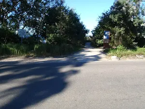 Intersection with Middle Head Rd