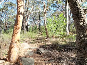 Rocky section of track on the Ridge Trail