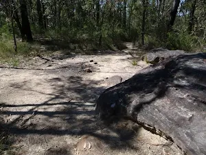 Fire place along the track