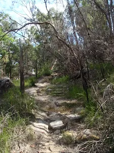 Following the Mt Kuringai Track