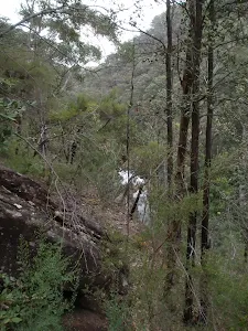 Glenbrook Creek from above