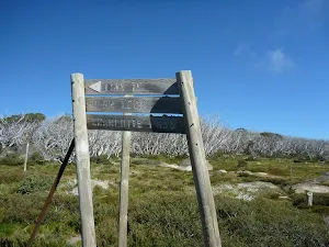 Signposted intersection partway up Porcupine Track