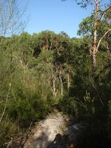 Natural Bridge Track