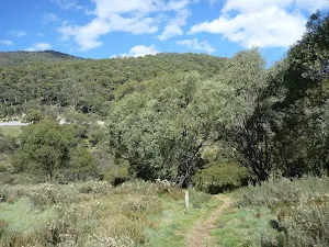 Bridle Loop Flat