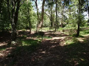 Silver Mist Picnic Area