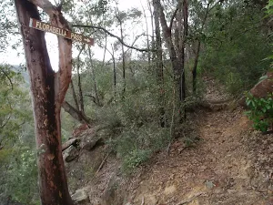 Track above Glenbrook Creek