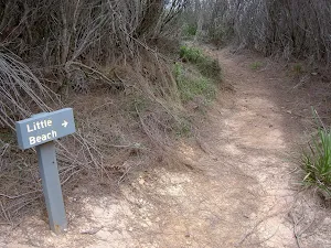 Little Beach track Int.