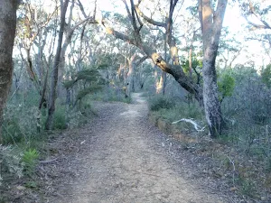 Baltzer Lookout service trail