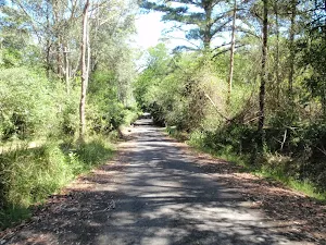 End of Beatties Rd