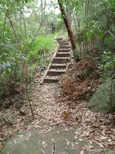 Stairs below Blaxland Library car park
