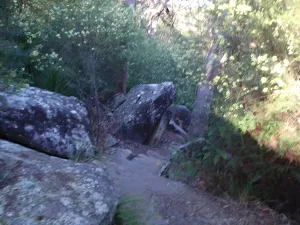 Track below 1st Falls lookout