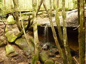 Waterfall near Pines camping ground in the Watagans