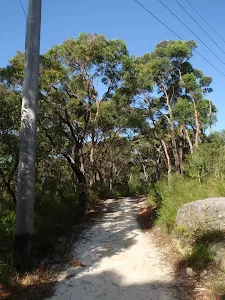 Currie Rd Service trail