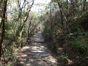 Track west of Wentworth Falls Lookout