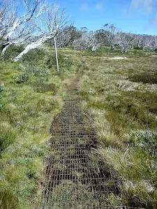 Metal grate in sections of the Porcupine Track