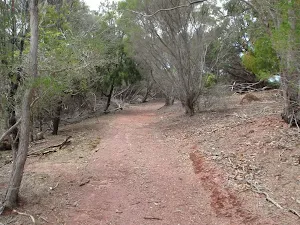 Track heading south up to Mowarry Point