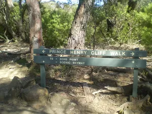 Prince Henry Cliff Walk