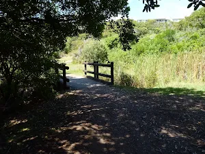 Timber footbridge on the coastal track in Caves Beach