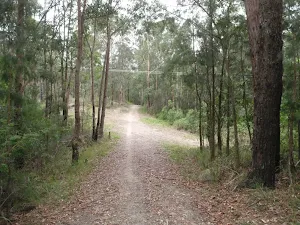 Near the powerline intersection