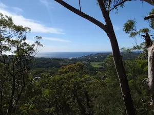 Colin Watters Lookout