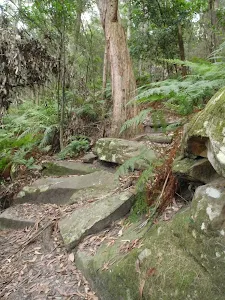 Mossy rocks