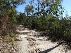 Walking along the Old Great North Road