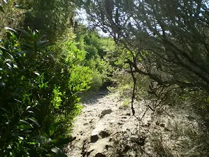 Track near Maroubra