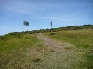 Grassy track near Caves Beach Road in Caves Beach