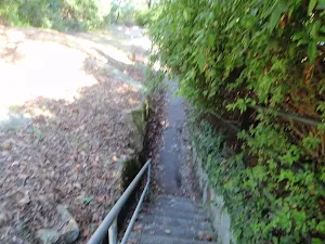 Track leading beside house