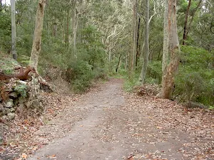 Driveway down to Lobster and Pretty Beach Int.