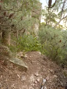 Top of the steep Solitary Pass