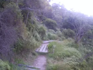 One of the smaller sections of boardwalk