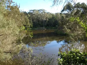 Lane Cove River