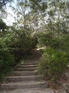 Steps on Gordon Falls Lookout track