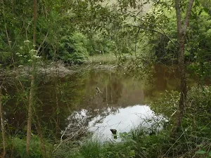 Seymour Pond