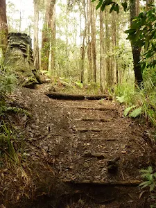 Timber steps on track near the Pines campsite in the Watagans