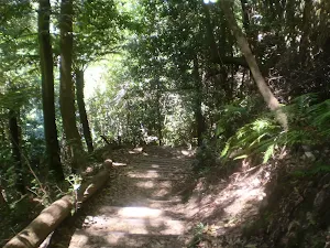 Track to train