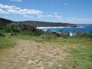 Small grassy clearing on Wybung Head