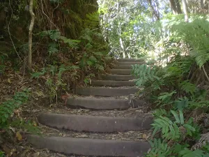 winding down the steps