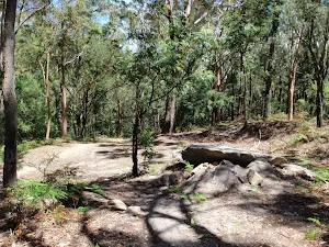 Small clearing were Sandringham track meets the management trail