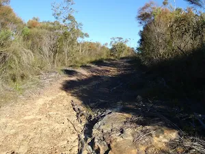 Heath vegetation by the weathered trail