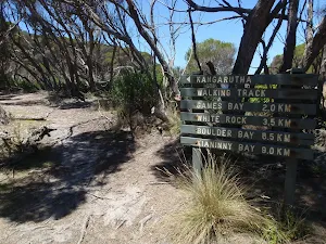 Kangarutha Track sign above Wallagoot Gap