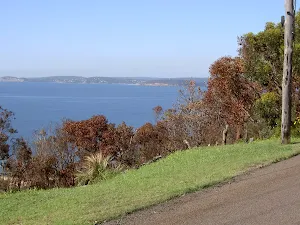 View from Jacqueline Ave