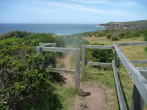 Timber walk through fencing on the coastal walk in the Wallarah Pennisula