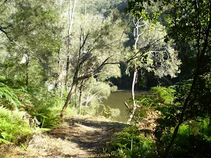 Berowra creek