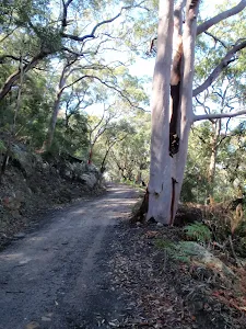 Pacific Trail