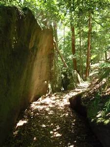 Track under boulder