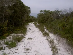 Sandy service trail between Bombi Point Track and Third Point Tracks