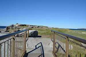 Cape Banks Island walk