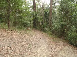 Graves Walk